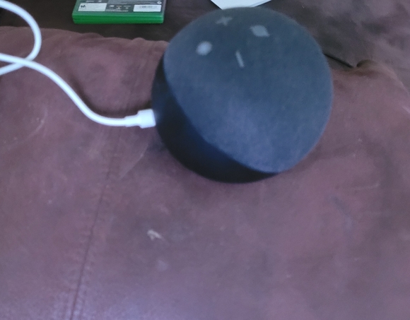 Amazon echo speaker